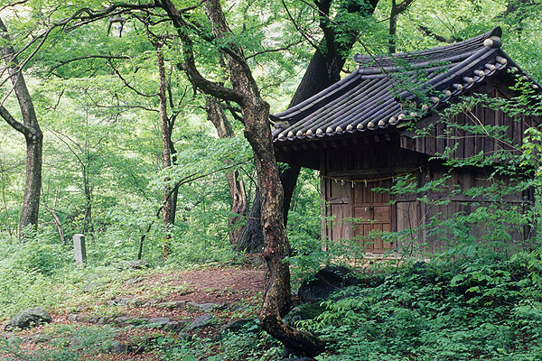 N이라서/라서 - Sayhikorean N이라서/라서 - Sayhikorean