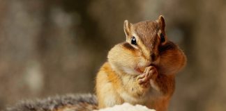 한국 자연의 아름다움 담아낸 영화 ‘무경계’ – Nation’s beautiful nature parks come to life in ‘No Boundaries’