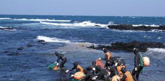 제주해녀어업, 세계중요농업유산 등재···”여성 중심의 공동체 문화” – UN body names female diving practice agricultural heritage