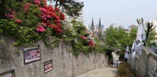 골목따라 만나는 근대 역사, 대구 근대문화골목 – Daegu street honors nation’s Catholic, liberation roots