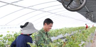비수도권 대학 외국인 유학생 부모, 계절근로자로 초청 – Parents of foreign students to be invited as seasonal workers 비수도권 대학 외국인 유학생 부모, 계절근로자로 초청 - Parents of foreign students to be invited as seasonal workers