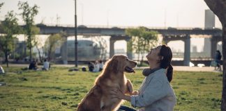 “동물과 공존하는 세상”···지자체가 함께 하는 반려동물 복지 정책 – Local gov’ts help build ‘world of coexistence with animals’ “동물과 공존하는 세상”···지자체가 함께 하는 반려동물 복지 정책 - Local gov'ts help build 'world of coexistence with animals'