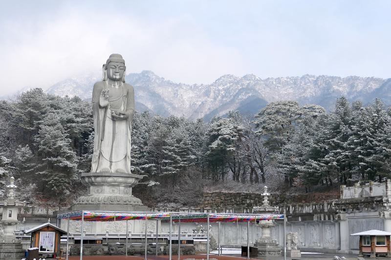 ▲ 동화사의 통일약사여래대불 뒤에 팔공산의 자락이 선명하게 보인다. This is the foothills of Palgongsan Mountain as seen from behind the statue Tongil (Unification) Bhaisajyaguru Sutra at Donghwasa Temple in Daegu.