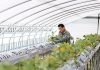 전국 18개 자치단체, 계절근로자 조기적응프로그램 운영 – 18 local gov’ts to run early adaptation for seasonal workers 전국 18개 자치단체, 계절근로자 조기적응프로그램 운영 - 18 local gov'ts to run early adaptation for seasonal workers