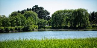 고양시, 지속가능한 도시 2년 연속 아시아 1위 – Goyang named Asia’s most sustainable city for 2nd straight year 고양시, 지속가능한 도시 2년 연속 아시아 1위 - Goyang named Asia's most sustainable city for 2nd straight year