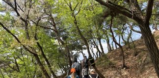 ‘등산 장비 빌리고 관광 안내 받고’···삼청동 ‘등산관광센터’ 개관 – Newest hiking tourism center in Seoul offers info, gear rentals '등산 장비 빌리고 관광 안내 받고'···삼청동 '등산관광센터' 개관 - Newest hiking tourism center in Seoul offers info, gear rentals