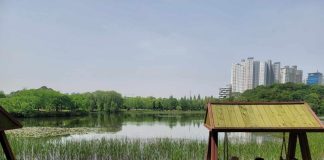 ‘1억 송이 꽃의 향연’···2024 고양국제꽃박람회 ‘활짝’ – Northern Seoul suburb hosts festival of 100 million flowers '1억 송이 꽃의 향연'···2024 고양국제꽃박람회 '활짝' - Northern Seoul suburb hosts festival of 100 million flowers