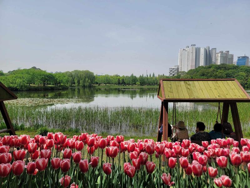 '1억 송이 꽃의 향연'···2024 고양국제꽃박람회 '활짝' - Northern Seoul suburb hosts festival of 100 million flowers