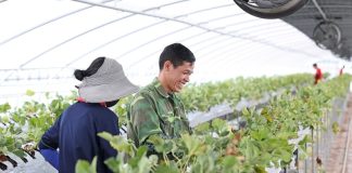 정부, 외국인력 수요 맞춤형으로 통합 관리 – Gov’t to allow more foreign staff, boost biz management