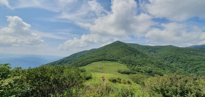 ▲ 강원도 인제군 곰배령 생태숲. Gombaeryeong Pass in Inje-gun County, Gangwon-do Province