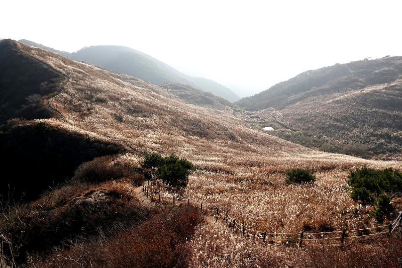 ▲ 창년군의 화왕산 전경. Hwawangsan Mountain is in Changnyeong-gun County, Gyeongsangnam-do Province