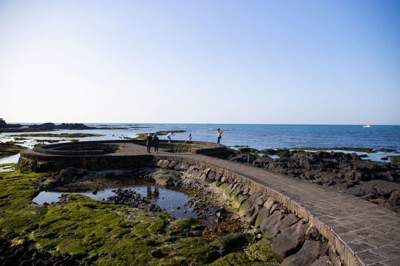 내년 '세계 환경의 날' 행사 6월 제주서 열린다 - Jeju Island to host World Environment Day next year