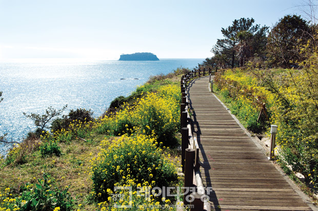 달콤한 꽃 향기 가득한 한국의 봄 - Spring: a season of flowers and aromas