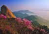 국립공원 외국인 탐방객 200만 시대···한라산·가을 산행 ‘최고 인기’ – National parks in 2025 attract 2.05M foreign visitors: data 국립공원 외국인 탐방객 200만 시대···한라산·가을 산행 '최고 인기' - National parks in 2025 attract 2.05M foreign visitors: data