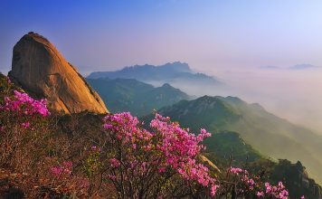 국립공원 외국인 탐방객 200만 시대···한라산·가을 산행 ‘최고 인기’ – National parks in 2025 attract 2.05M foreign visitors: data 국립공원 외국인 탐방객 200만 시대···한라산·가을 산행 '최고 인기' - National parks in 2025 attract 2.05M foreign visitors: data