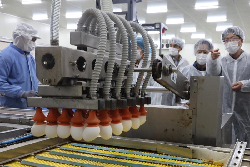 ▲ 지난 1월 26일 천안시 서북구 입장면의 계란 수입 업체에서 박정훈 농림축산식품부 식량정책실장을 비롯한 식약처, aT, 수입업체 관계자들이 미국산 신선란의 제품화 과정을 점검하고 있다. Deputy Minister of Food and Drug Safety Park Jung-hoon (right) on Jan. 26 along with officials from the Ministry of Food and Drug Safety, aT (Korea Agro-Fisheries & Food Trade Corporation) and the importer inspect the productization process of imported American eggs in Seobuk-gu District of Cheonan, Chungcheongnam-do Province. 연합뉴스