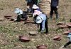 한국, 하반기 외국인 계절근로자 1만 7000명 추가 배정 – Korea to Deploy 16,915 More Foreign Seasonal Workers in Second Half ▲ 정부가 올해 하반기 외국인 계절근로자 1만 6000여명을 추가 투입하기로 했다. 사진은 지난달 30일 강원 강릉시 강동면의 한 감자밭에서 농민과 외국인 근로자들이 감자를 수확하고 있는 모습. Nearly 17,000 foreign seasonal workers will be added in the second half of this year. Shown are farmers and laborers from abroad on June 30 harvesting potatoes at a field in the township of Gangdong-myeon in Gangneung, Gangwon-do Province. (Yonhap News - 연합뉴스)