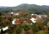 광릉숲 등 5곳, OECM 공식 등재···생물다양성 국제 보전지역으로 인정 – Five Forest Areas Including Gwangneung Forest Officially Listed as OECMs···Recognized as International Biodiversity Conservation Areas 광릉숲 등 5곳, OECM 공식 등재···생물다양성 국제 보전지역으로 인정 - Five Forest Areas Including Gwangneung Forest Officially Listed as OECMs···Recognized as International Biodiversity Conservation Areas