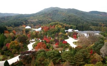 광릉숲 등 5곳, OECM 공식 등재···생물다양성 국제 보전지역으로 인정 – Five Forest Areas Including Gwangneung Forest Officially Listed as OECMs···Recognized as International Biodiversity Conservation Areas 광릉숲 등 5곳, OECM 공식 등재···생물다양성 국제 보전지역으로 인정 - Five Forest Areas Including Gwangneung Forest Officially Listed as OECMs···Recognized as International Biodiversity Conservation Areas