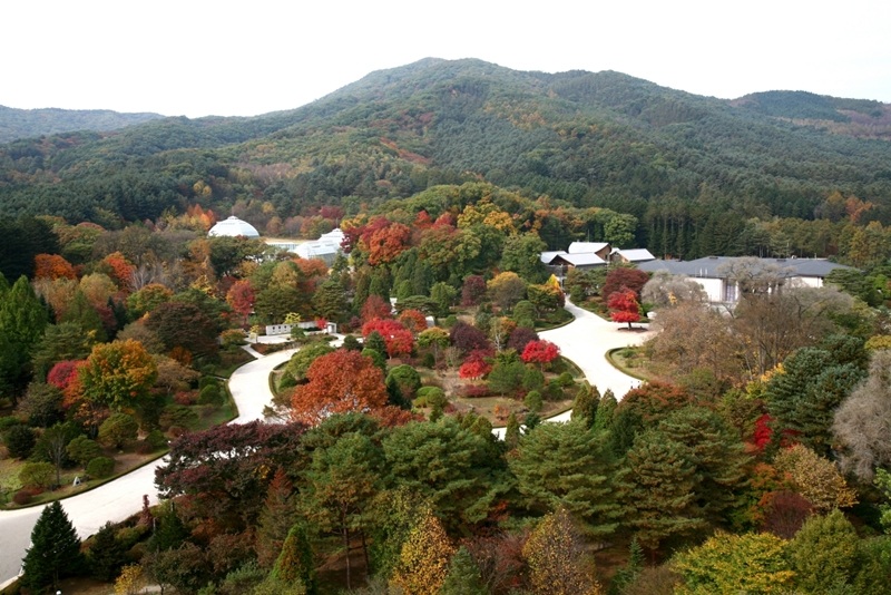 광릉숲 등 5곳, OECM 공식 등재···생물다양성 국제 보전지역으로 인정 – Five Forest Areas Including Gwangneung Forest Officially Listed as OECMs···Recognized as International Biodiversity Conservation Areas 광릉숲 등 5곳, OECM 공식 등재···생물다양성 국제 보전지역으로 인정 - Five Forest Areas Including Gwangneung Forest Officially Listed as OECMs···Recognized as International Biodiversity Conservation Areas