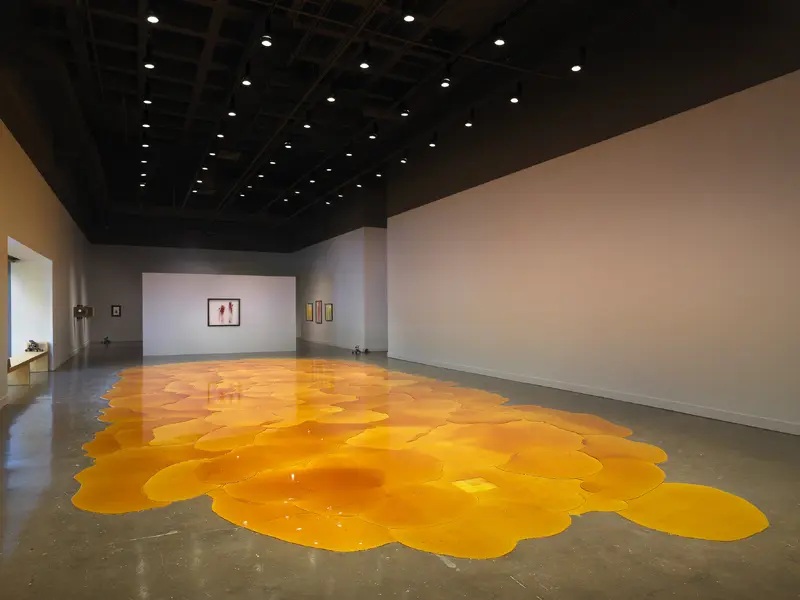 ▲ '제16회 광주비엔날레' 참여작가 골딘+세네비의 '플레어-업' 전시 전경. View of exhibition "Flare-Up" by Goldin+Senneby at Gwangju Biennale (Gwangju Biennale Foundation - 광주비엔날레재단)
