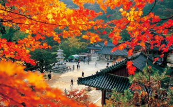 #경기도 #용문산 Mountain – A 1,157m Autumn Trek Through Temples, Valleys & Rock Formations