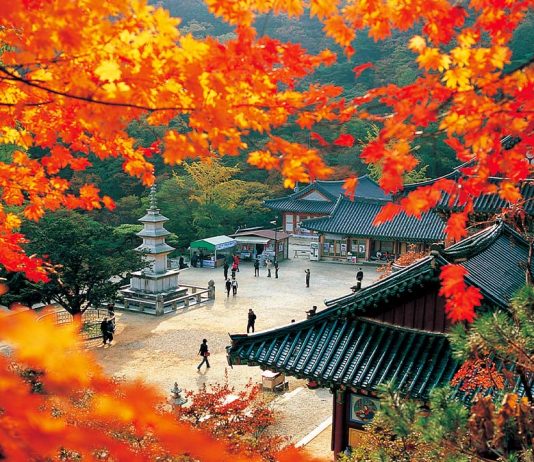 #경기도 #용문산 Mountain – A 1,157m Autumn Trek Through Temples, Valleys & Rock Formations