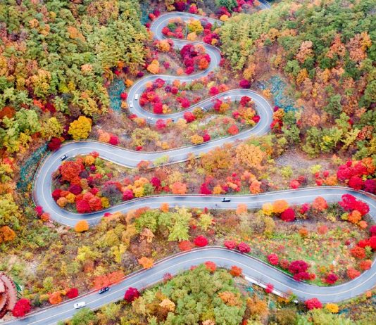 #충청북도 #보발재 – One of Korea’s Most Beautiful Autumn Drives — Bobaljae Pass
