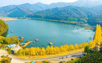 #충청북도 #괴산군 – Autumn at Mungwang Reservoir (문광저수지)