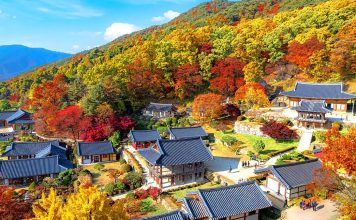 #경상북도 #부석사 – A Thousand-Year-Old Temple Wrapped in Autumn Colors