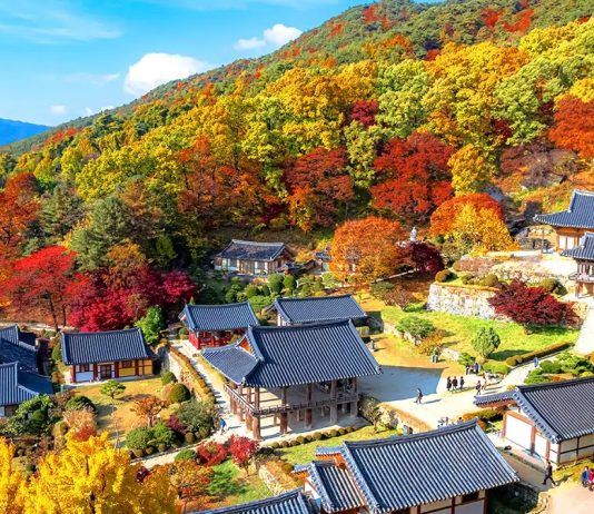 #경상북도 #부석사 – A Thousand-Year-Old Temple Wrapped in Autumn Colors